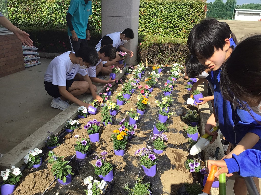 豊里中学校