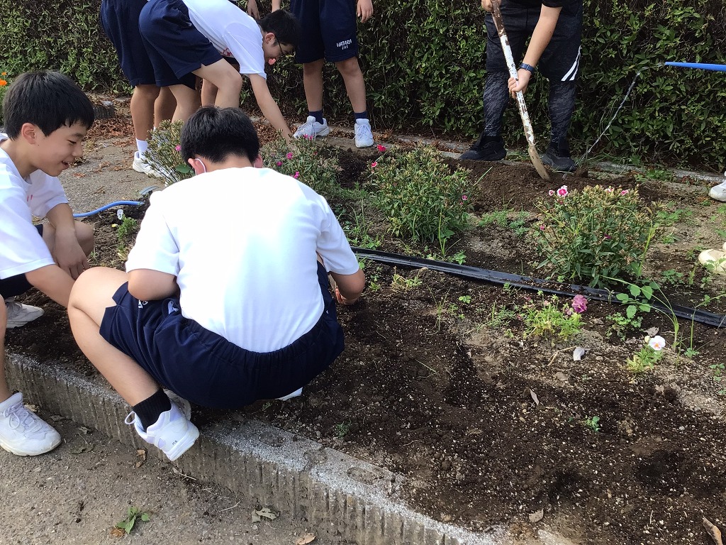 幡羅中学校