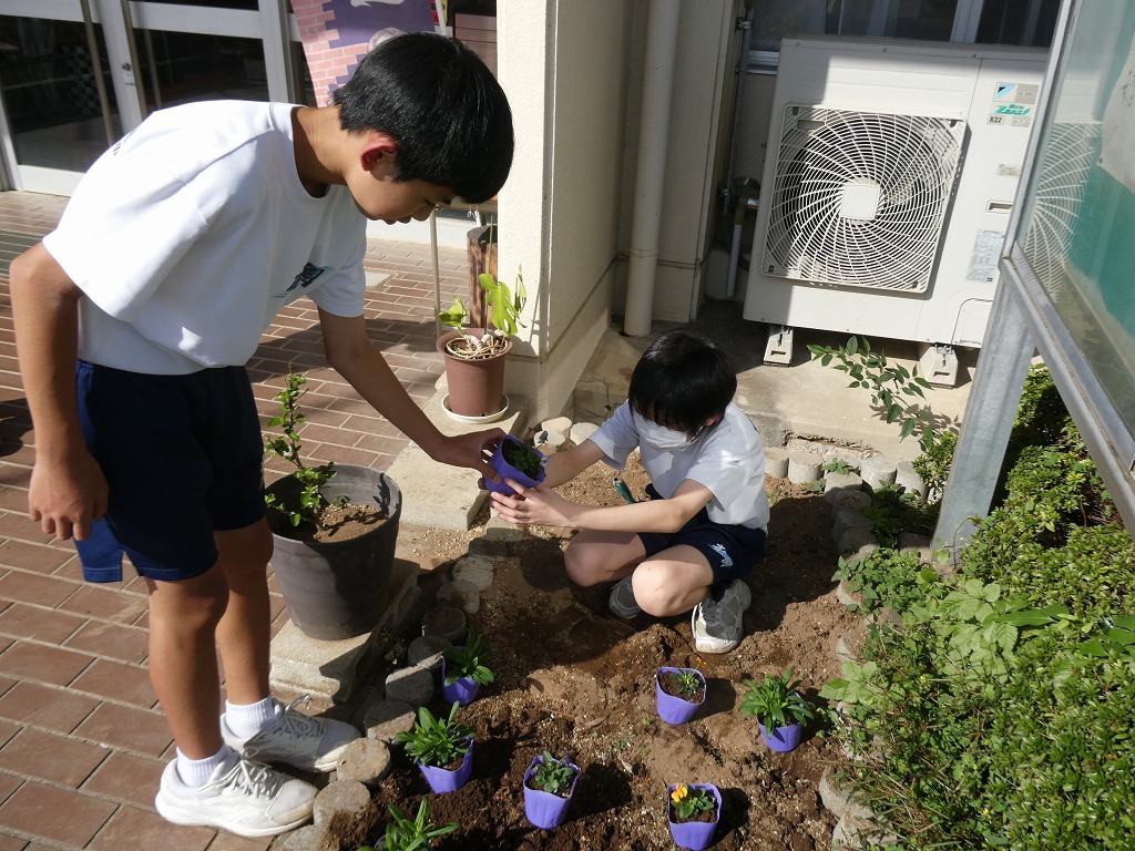 花園中学校