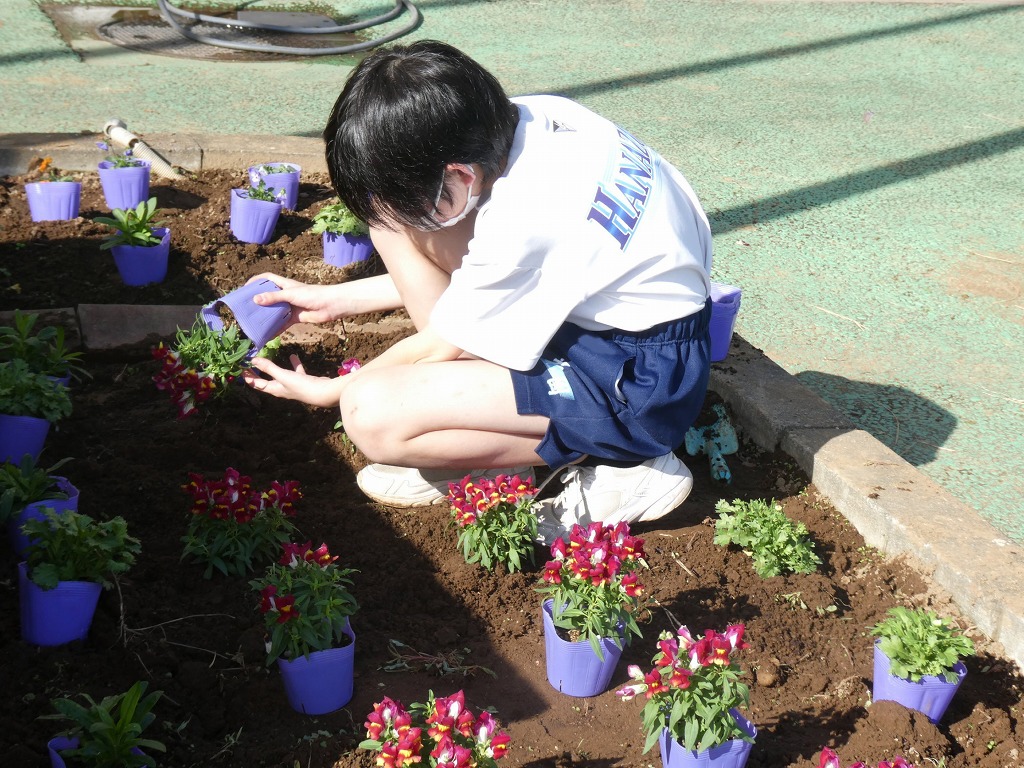 花園中学校