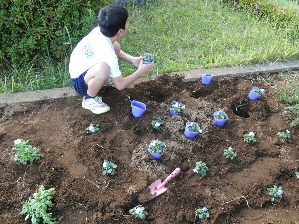 花園中学校