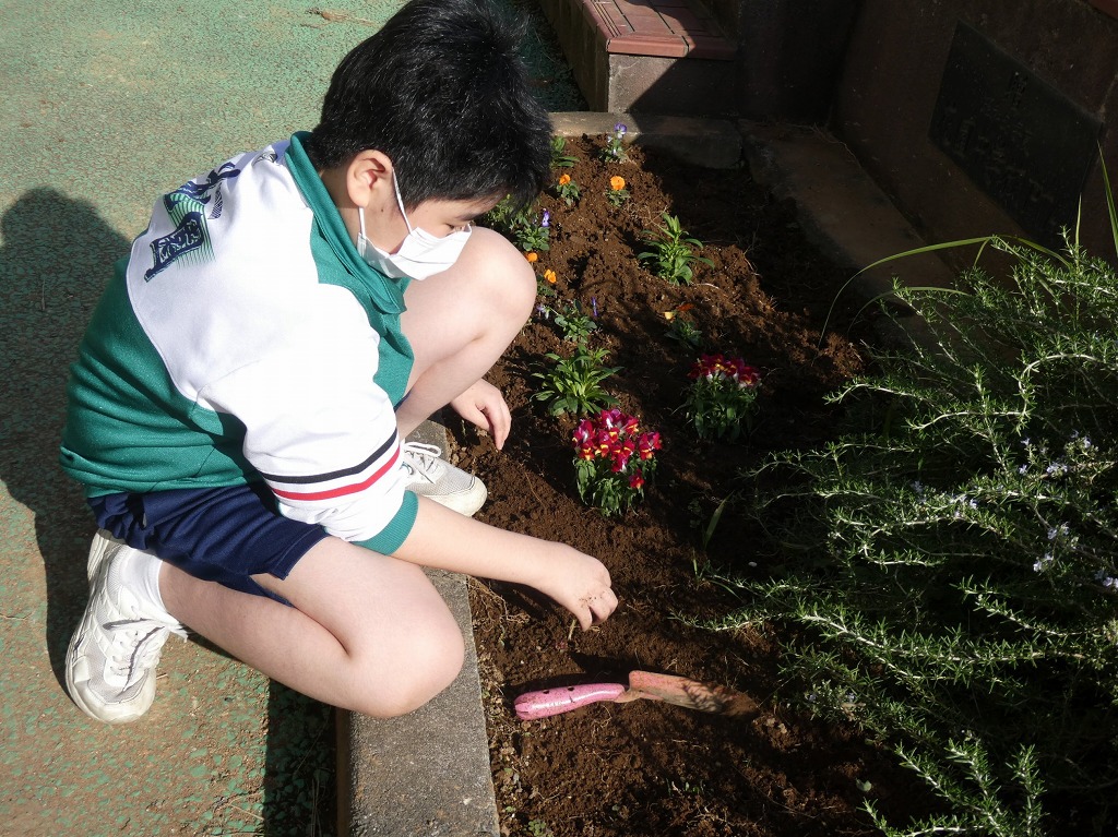 花園中学校
