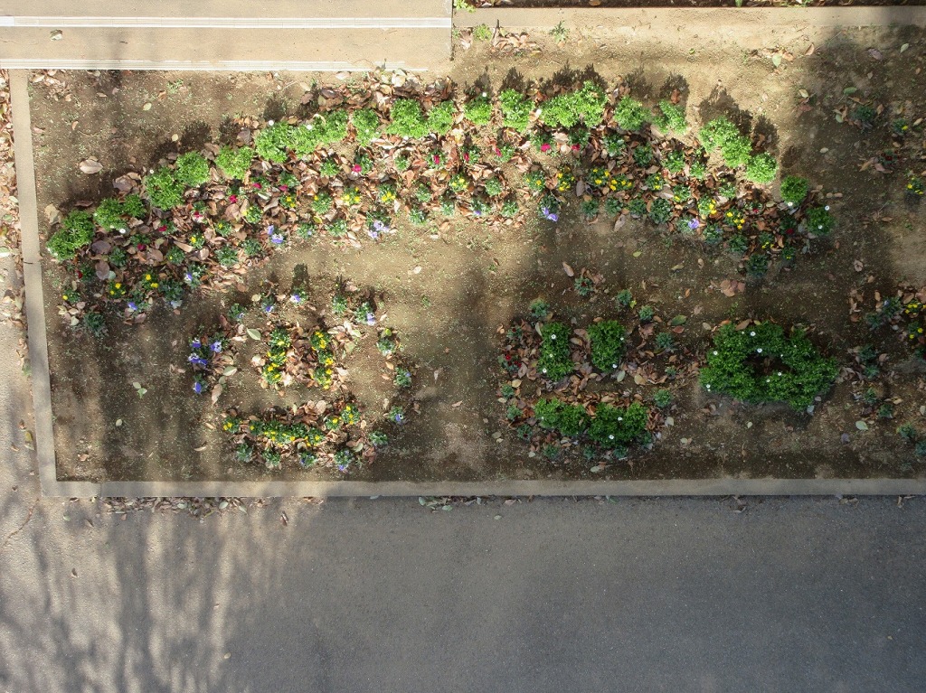 本郷小学校