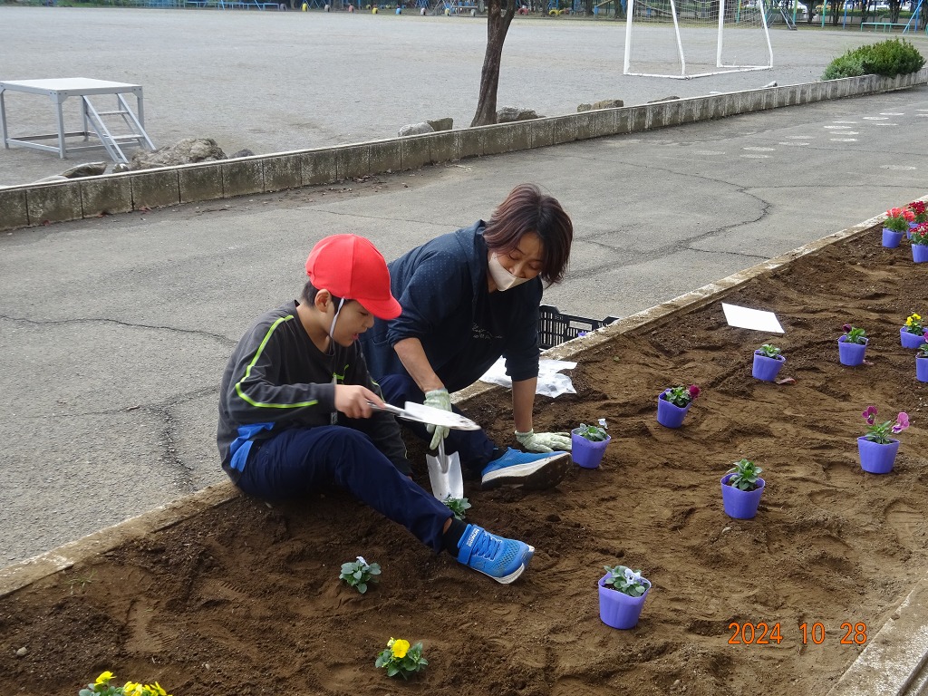 豊里小学校
