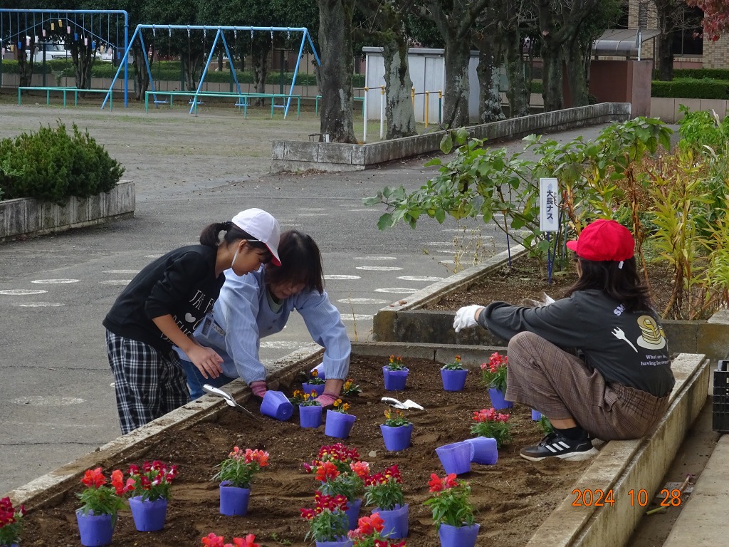 豊里小学校