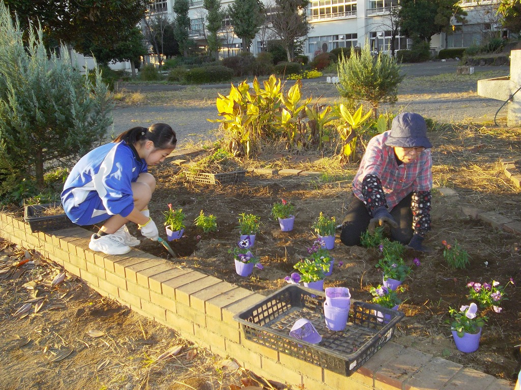 藤沢中学校