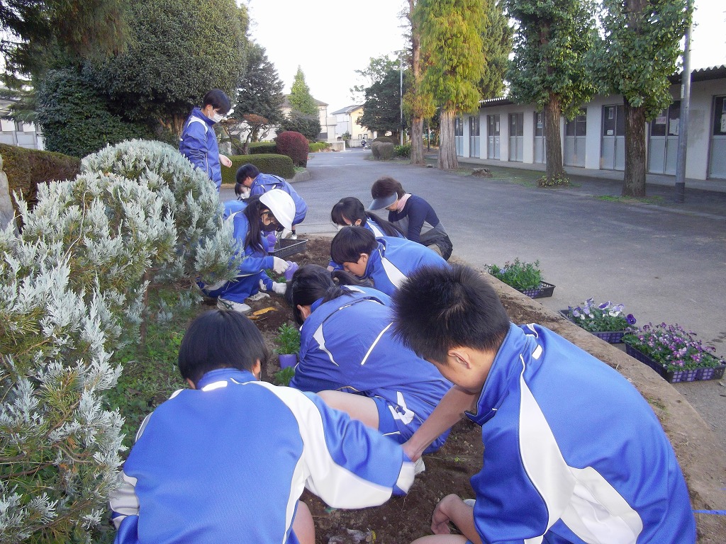 藤沢中学校