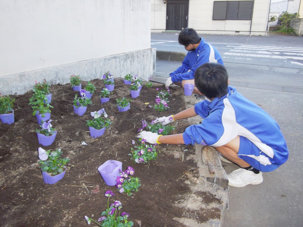 藤沢中学校