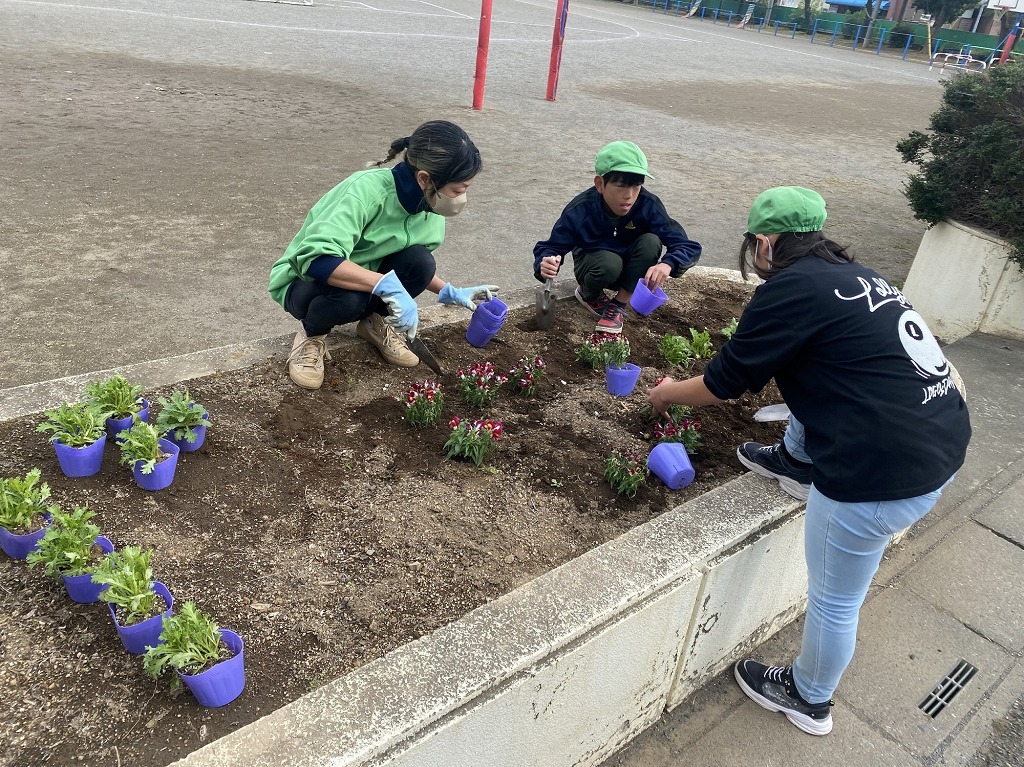 藤沢小学校