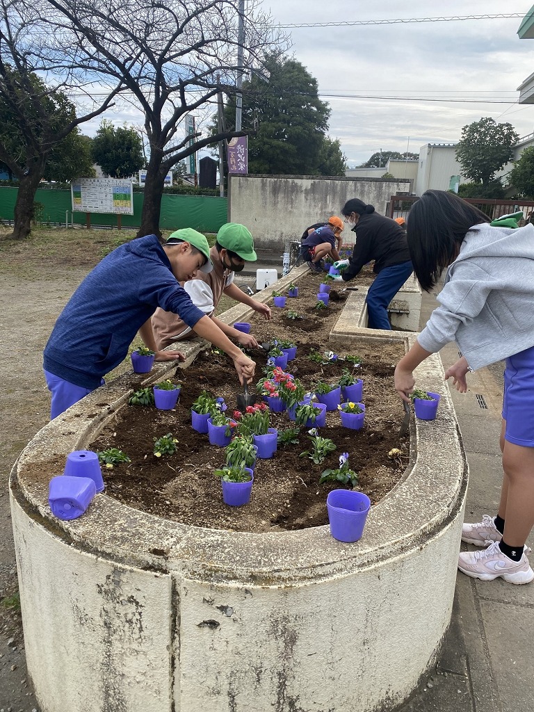 藤沢小学校