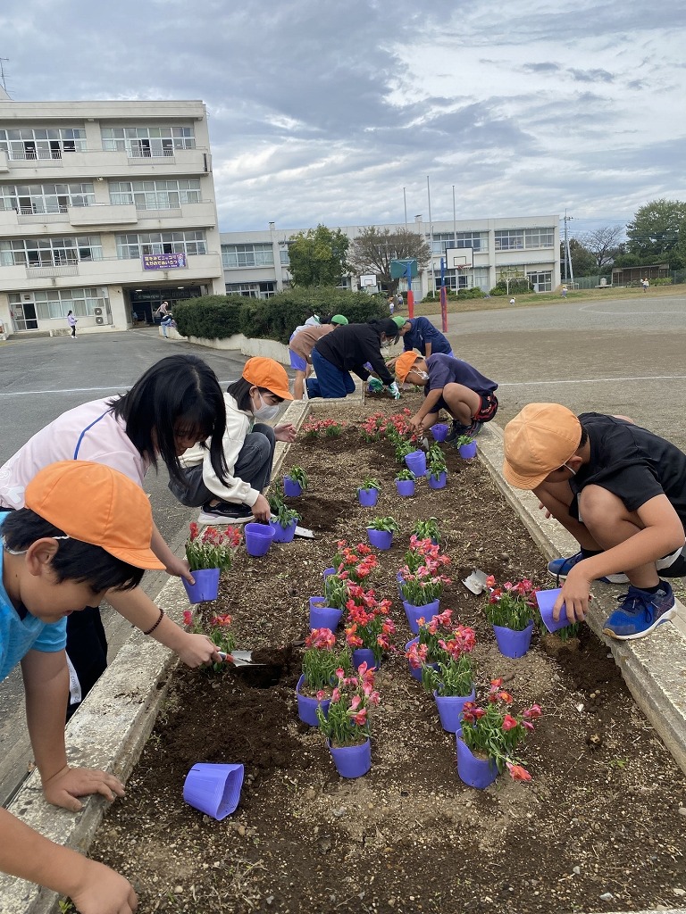 藤沢小学校