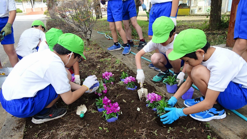 深谷小学校