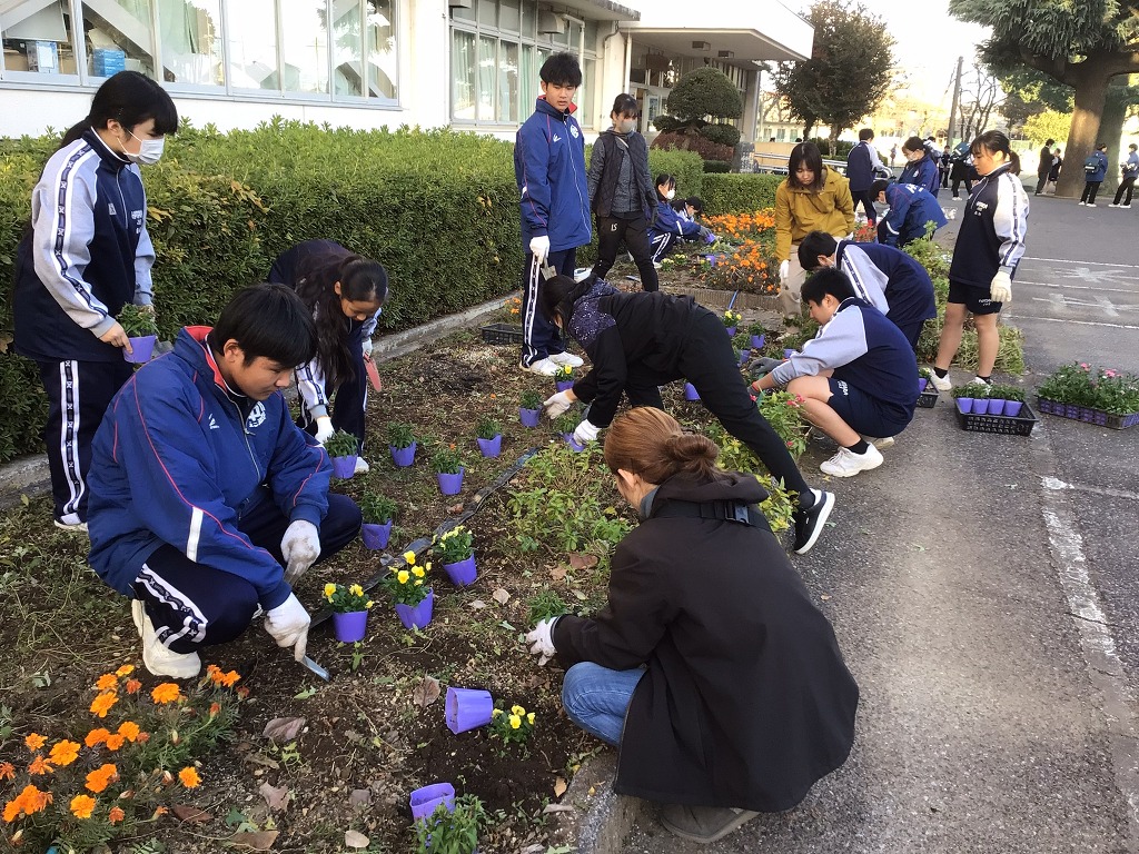 幡羅中学校
