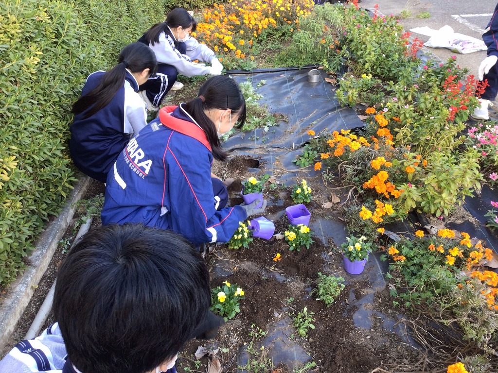 幡羅中学校