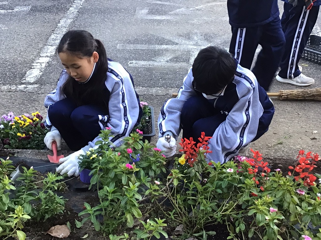 幡羅中学校