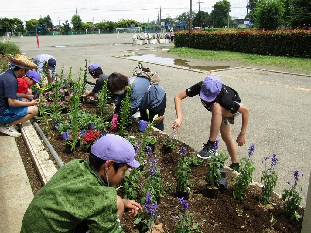 藤沢小学校