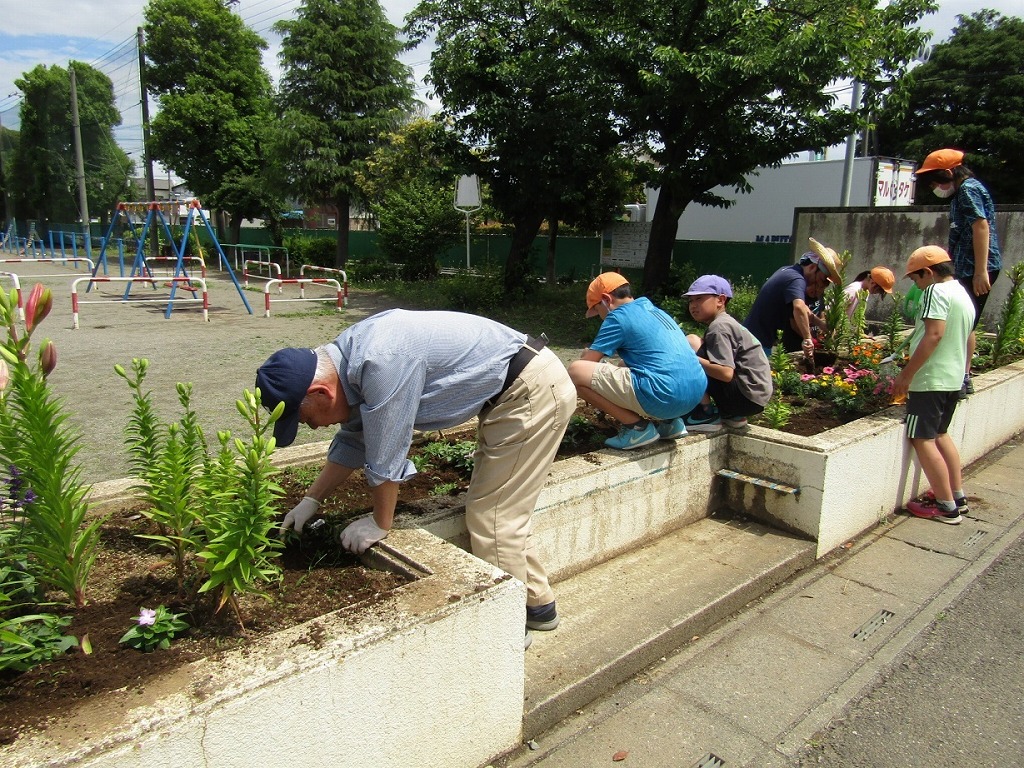 藤沢小学校