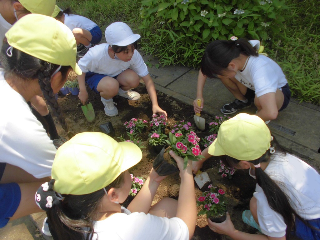 深谷小学校