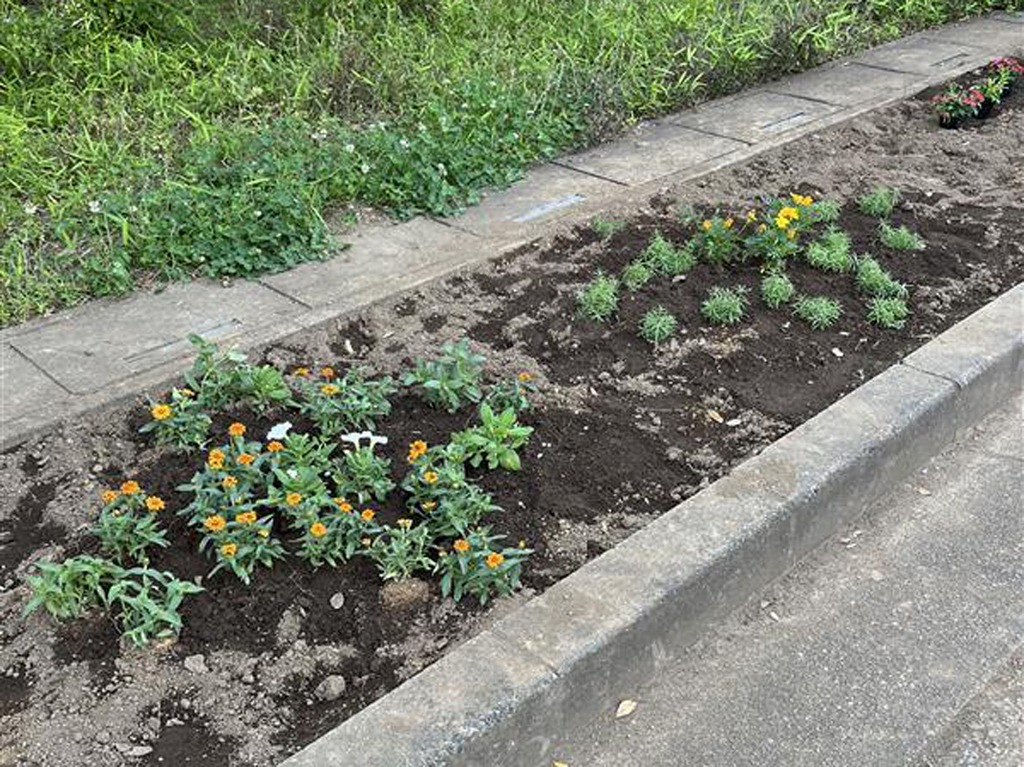 深谷小学校