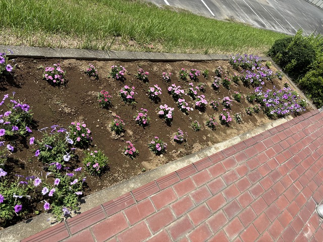 花園中学校