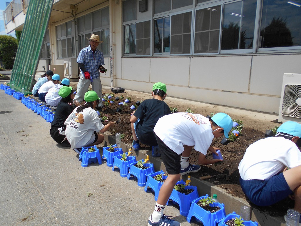幡羅小学校