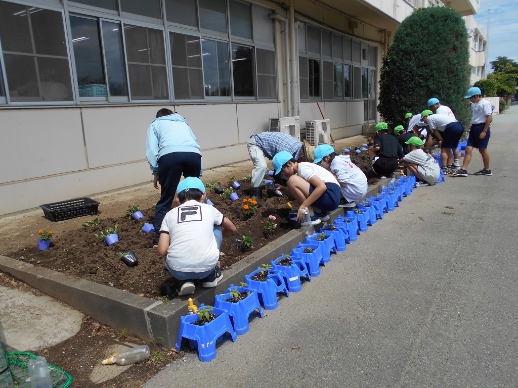 幡羅小学校