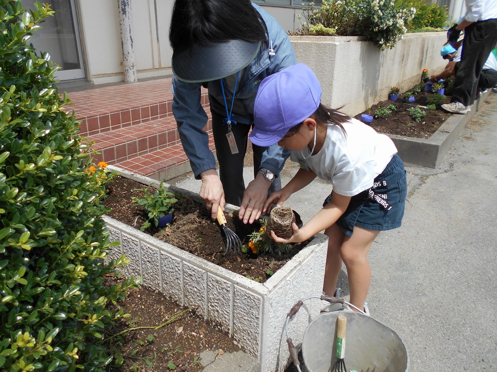 幡羅小学校