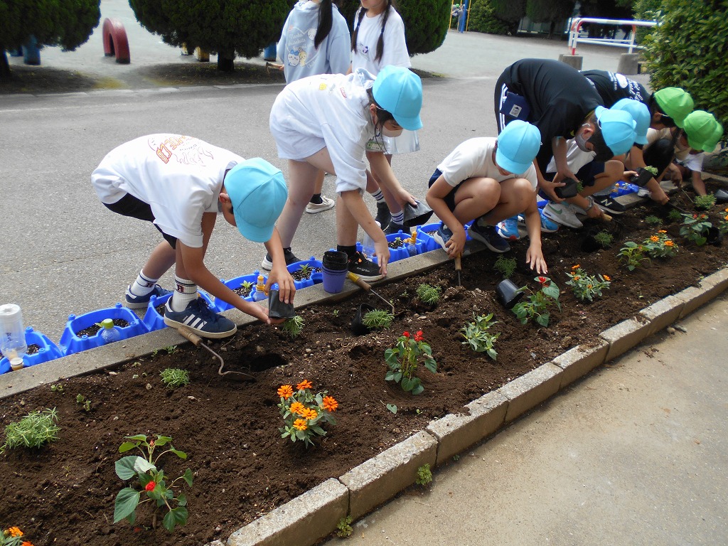 幡羅小学校