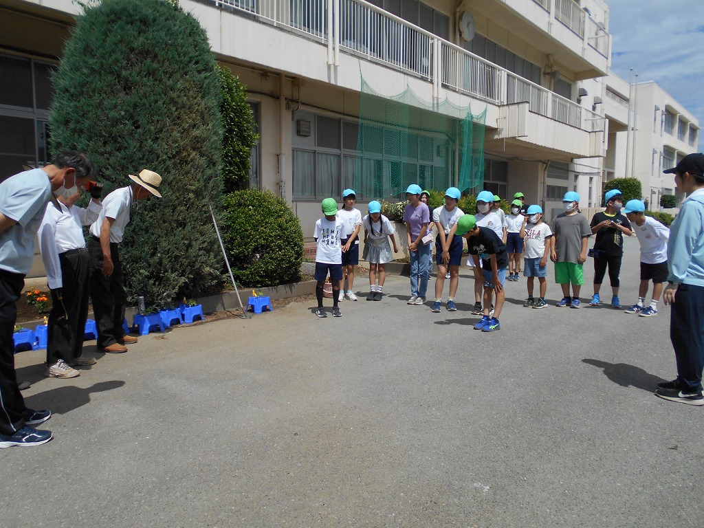 幡羅小学校