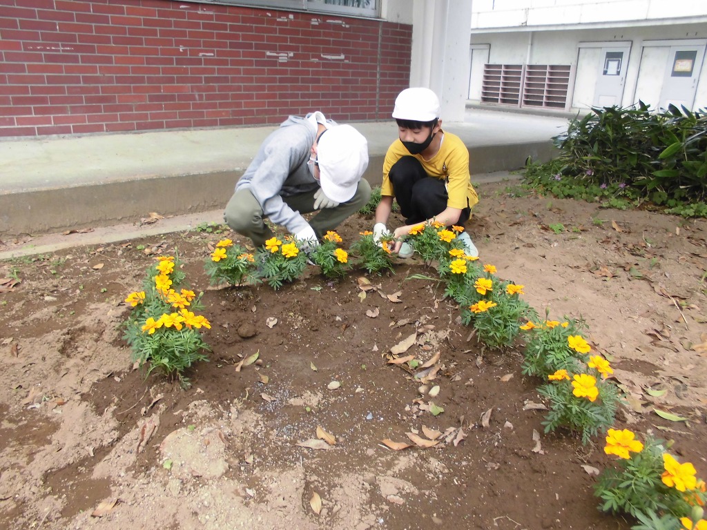 本郷小学校
