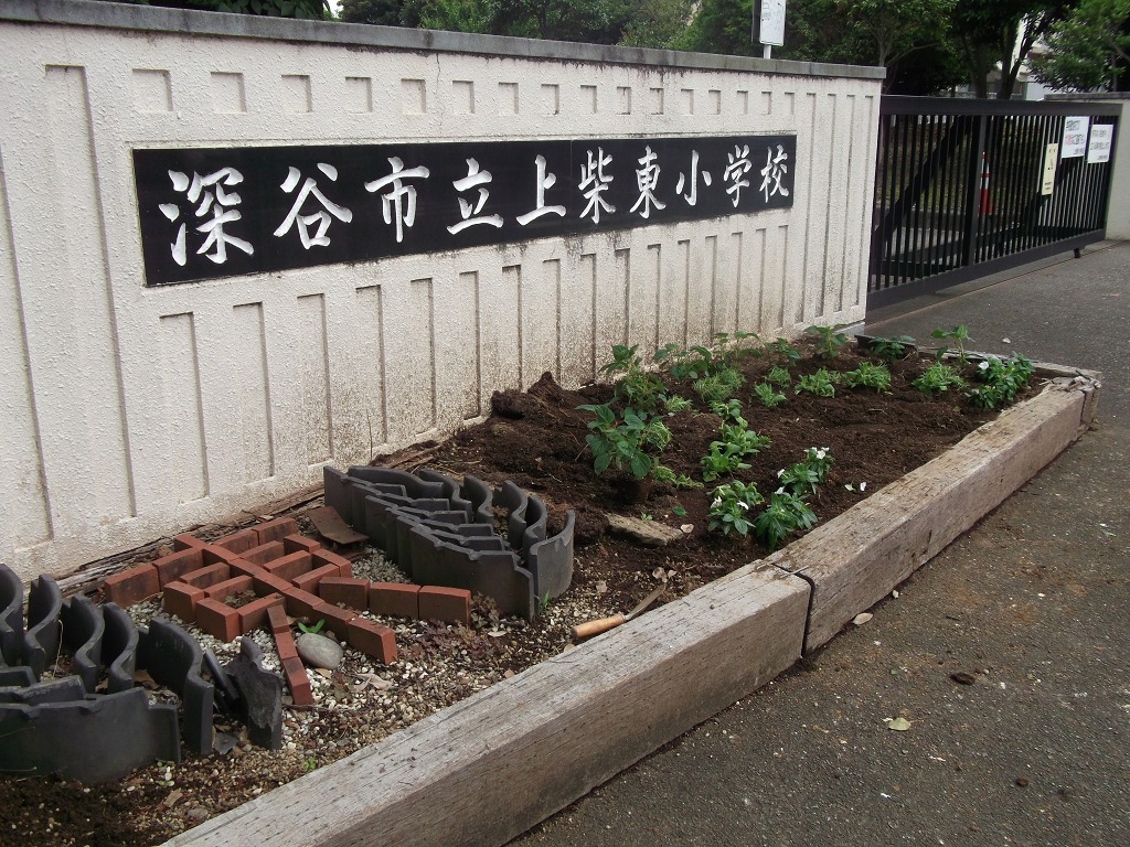 上柴東小学校