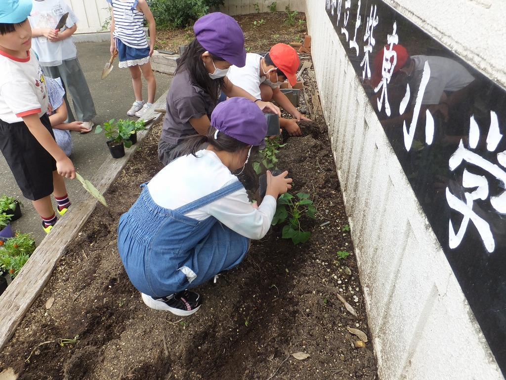 上柴東小学校