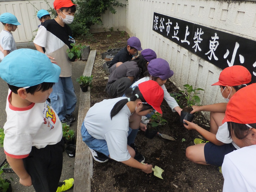 上柴東小学校