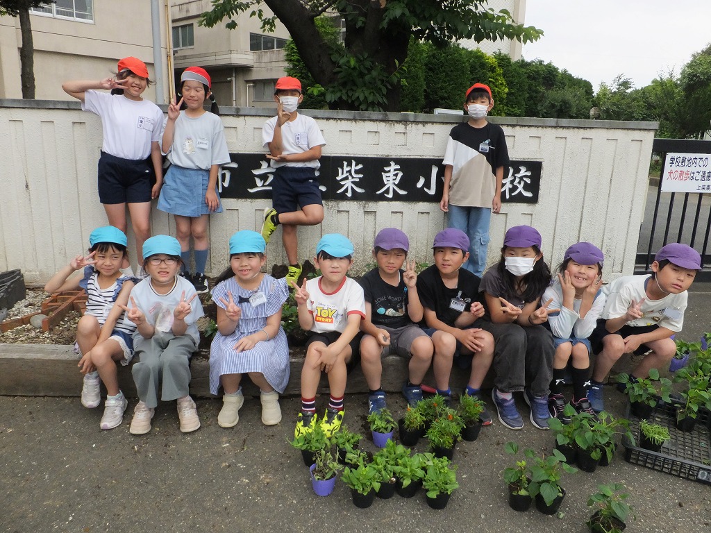 上柴東小学校01