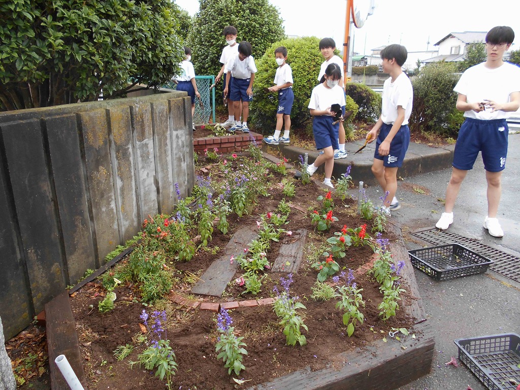 川本中学校