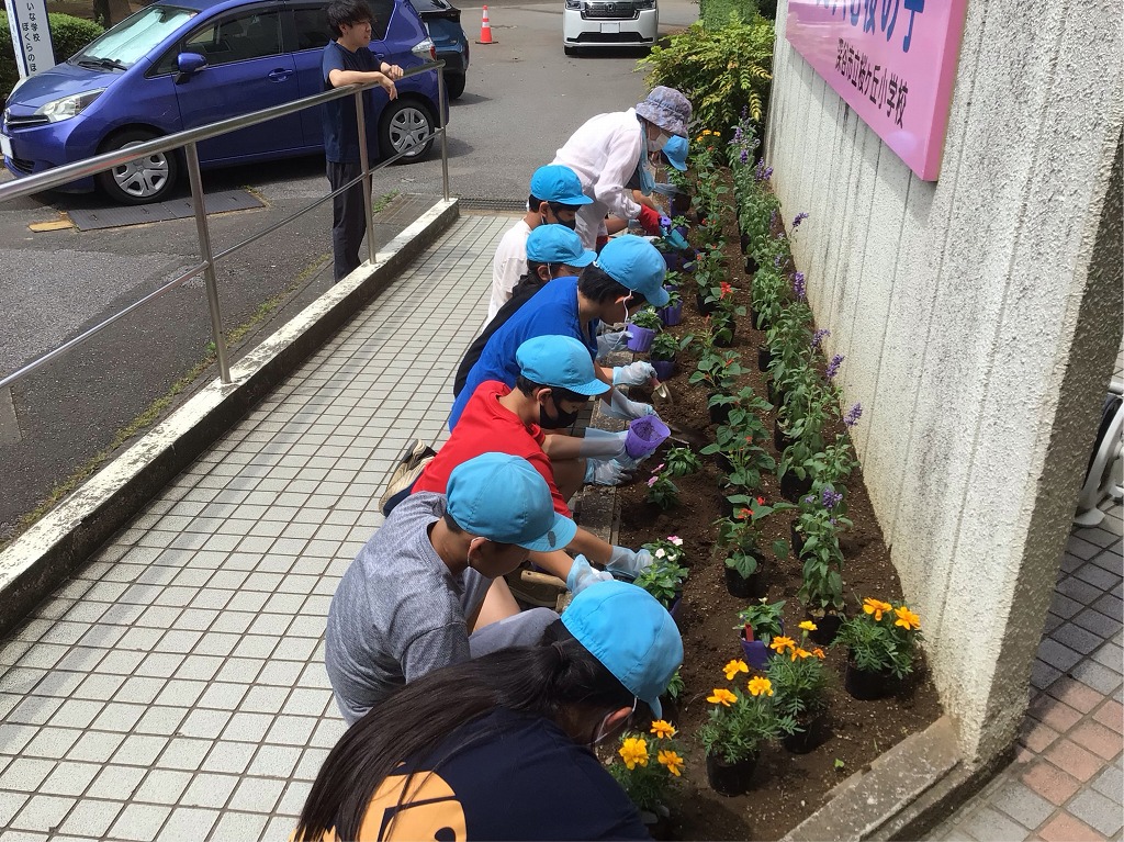 桜ケ丘小学校