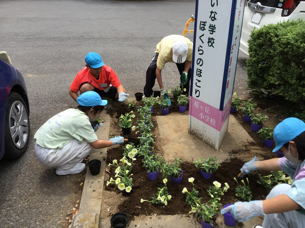 桜ケ丘小学校
