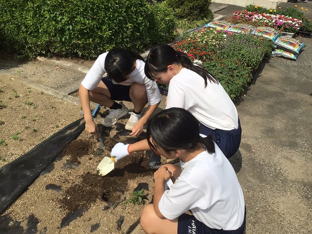 幡羅中学校