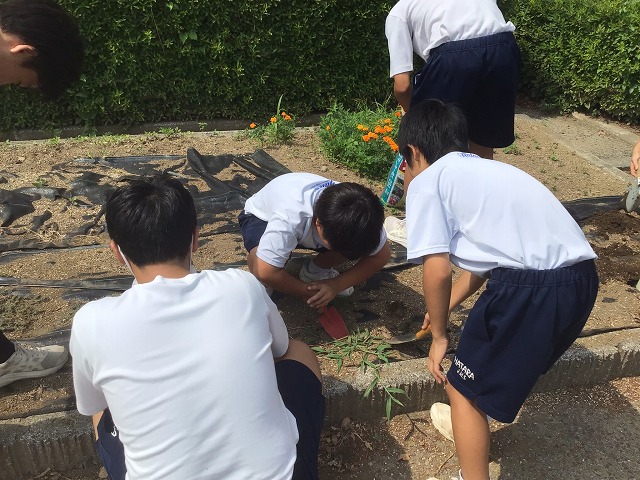 幡羅中学校