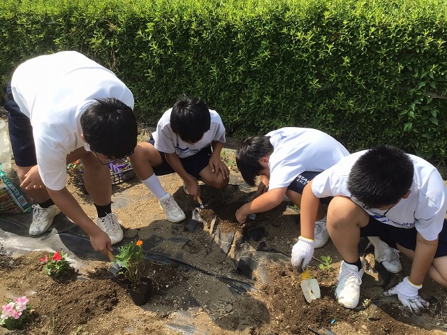幡羅中学校