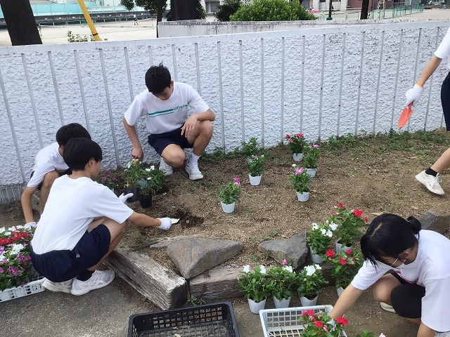 幡羅中学校