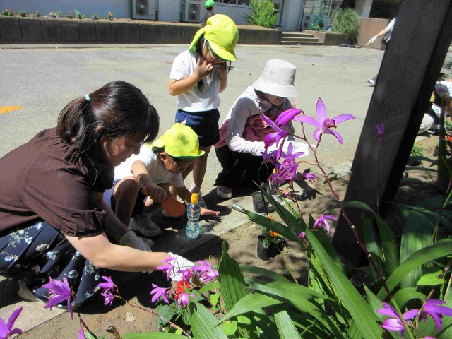 桜ケ丘幼稚園
