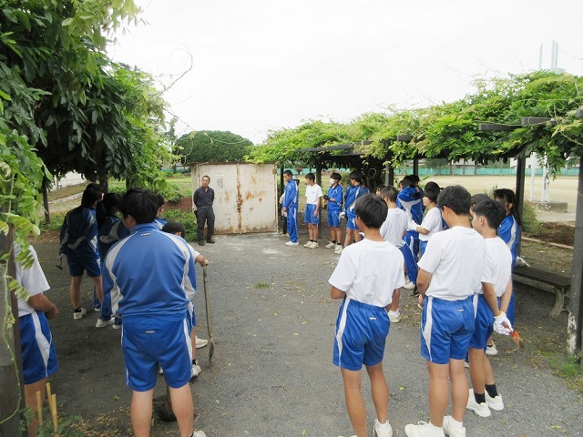 藤沢中学校