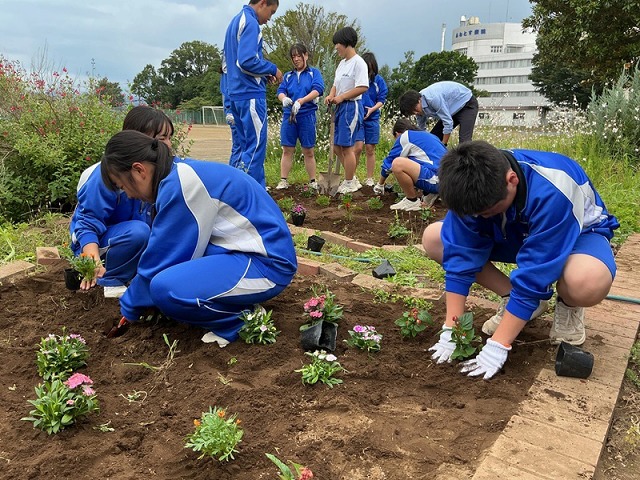 藤沢中学校