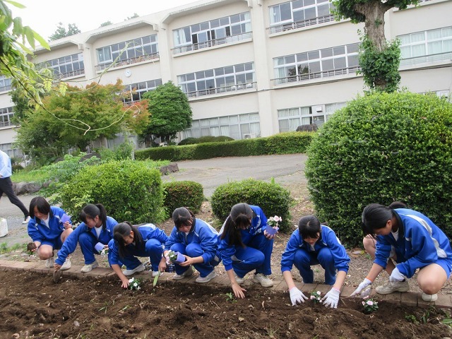 藤沢中学校