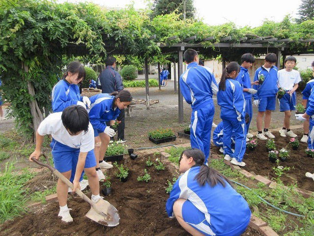 藤沢中学校