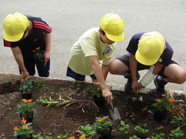 藤沢小学校