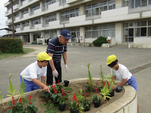 藤沢小学校