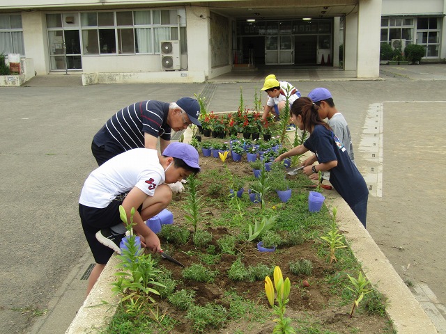 藤沢小学校