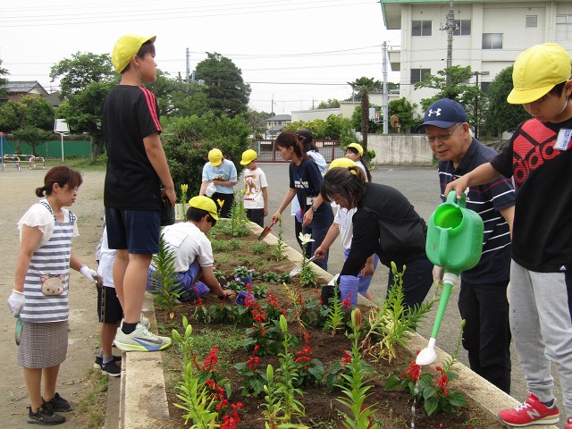 藤沢小学校
